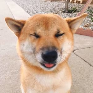 Meet your Posher, 康成